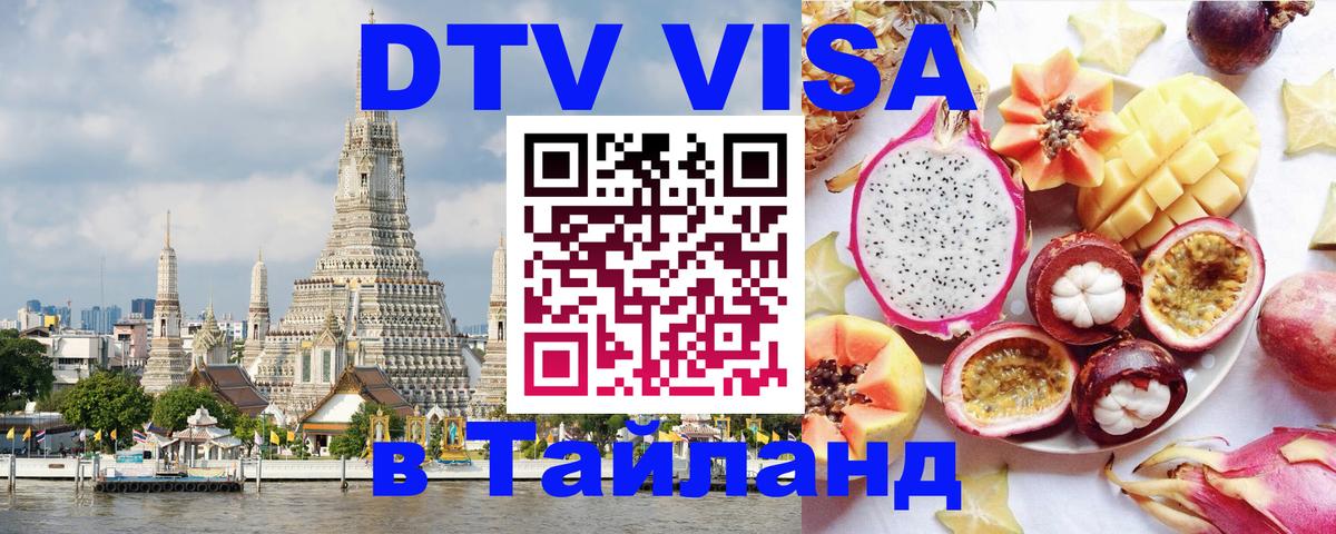 Сколько стоит DTV виза — актуальные цены, оформление даже без документов - 19.11.2025 